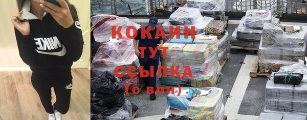 MESCALINE Бородино