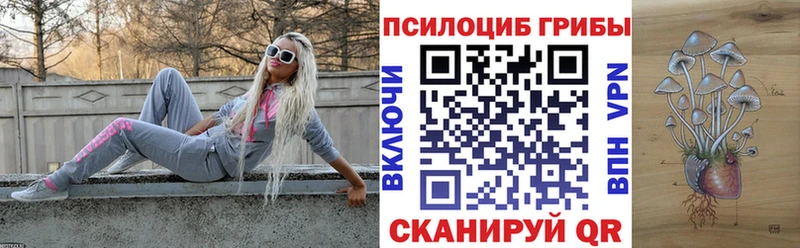 маркетплейс телеграм  продажа наркотиков  Рузаевка  Галлюциногенные грибы MAGIC MUSHROOMS 